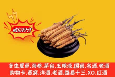 南平松溪县名酒回收冬虫夏草.jpg